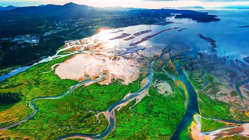 Fact about Estuaries