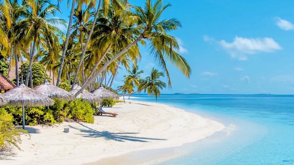 Fact about Tropical Islands