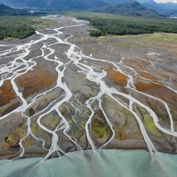 Facts about Estuaries